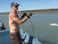 Dipnetting Dipnetting