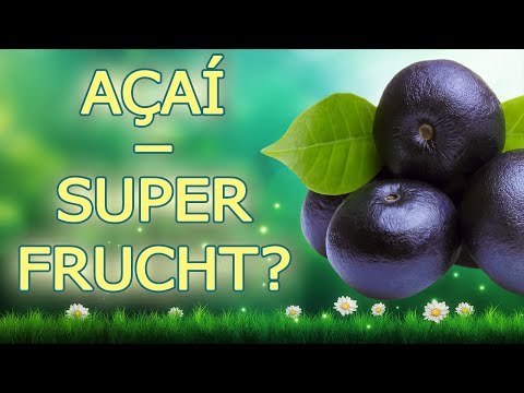 Açaí Beere – Was können die Açaí Beeren wirklich?