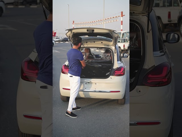 Wuling Bingo 2024 Wuling Bingo video