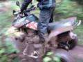 Quadfahren Part1 (Micha)