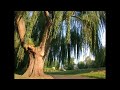 horizons music (hzn025)