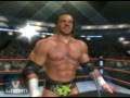 Smackdown Vs. Raw 2009: Triple H RTWM - 14 DX (PS2)
