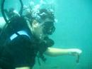 Scuba Diving - Nusa Dua, Indonesia Scuba Diving - Nusa Dua, Indonesia
