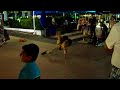 Miami beach brakedance lincoln road Miami beach brakedance lincoln road