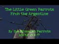 music video produced by brooklyn parrots showing short video clips of wild quaker parrots in the u.s.a. music by the brooklyn parrots (ascap).