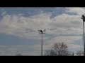 music video produced by brooklyn parrots showing short video clips of wild quaker parrots in the u.s.a. music by the brooklyn parrots (ascap).