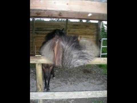 Kaline De Milly (résident au pc du ...