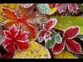 Celia-Soapte