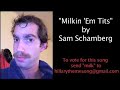 Hillary Clinton Pick My Campaign Song