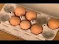 Jazdci varia - V�r� V�m to? Simonka S. (Sept.2007)