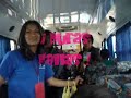 Curso de verano
