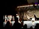 Premier Spinner Sharks - Athletic Championship Destin, Fl