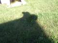 Shadow shooting SLG