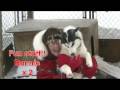 Manitou Crossing Kennel Fun