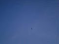 videos de maiara 4