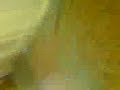 Meyah Falling Over Funny