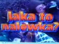 Jaka to nalewka ? Jaka to nalewka ?