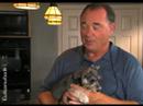 Puppy Training Video - Welcome Home (Episode 2) Puppy Training Video - Welcome Home (Episode 2)