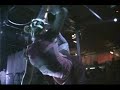 pure cirkus variety demo! suspensions fire contorsionist etc
