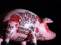roger waters   sheep   morumbi   24/3/07