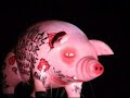 roger waters   sheep   morumbi   24/3/07