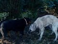 pasa&lili pasa&lili