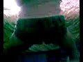 Booty Bounce Booty Bounce