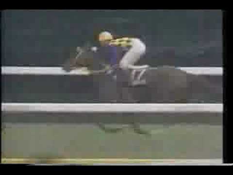 1991年優駿牝馬(オークス) - イソノルーブル(CX)