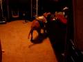 videos de JAKE DOING SOMERSAULT.AVI