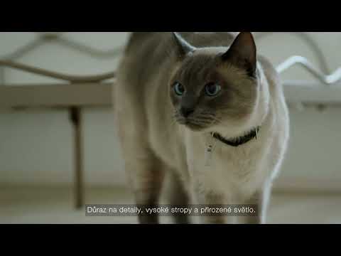 Video Výjimečná vila 6+3kk s možností vícegeneračního bydlení – Nad Loděnicí, Vráž u Berouna