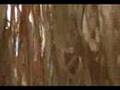 Outrigger-Island-VBS