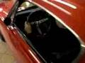1966 Shelby GT-350 Fastback Show Car For Sale!