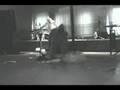 Gorilla Ballet