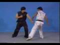 Wong Daatmau (Tat Mau Wong / 王达谋) - Ping kuen form