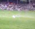Impressive Dry Ice Bomb