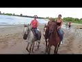 Horseback Riding Horseback Riding