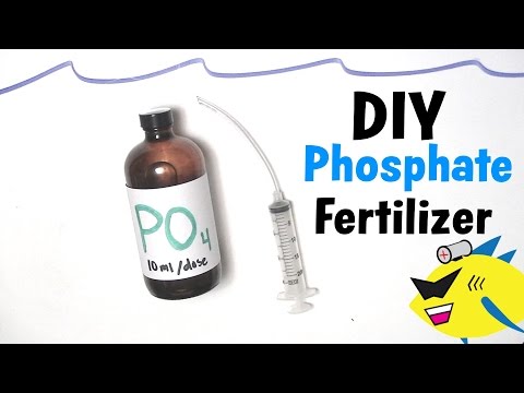 how to fertilize freshwater plants