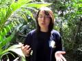 videos de AIESEC NZ Message from Bejing - China