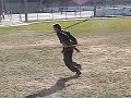 Golden Harmony Double Staff Set