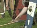 The Celts ╠01╣