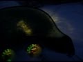 videos de Snowmobile Project.mpg