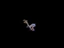 Spore Creature Creator Video