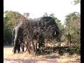 Mosi oa Tunya Mosi oa Tunya