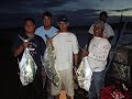 IGFA In Action!