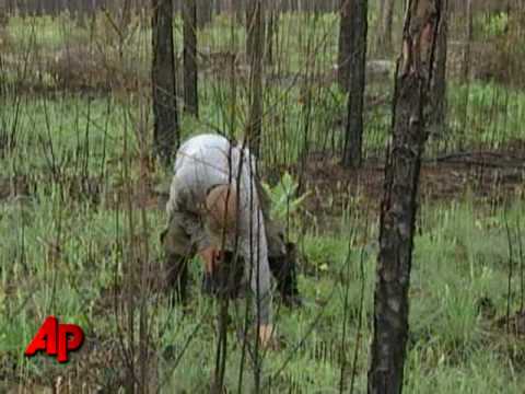 how to collect worms