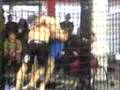 mma back kicks the scorpion style