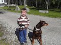 Walking The Ferocious Doberman