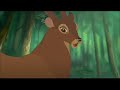 [Video]