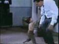 Funny Videos Combined Part 8