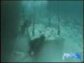 CSA Coral Reef Restoration Florida Keys